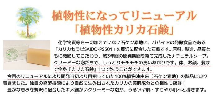 カリカ石鹸(せっけん)【100g】【メール便対応/4個まで】 | おひさま生活館